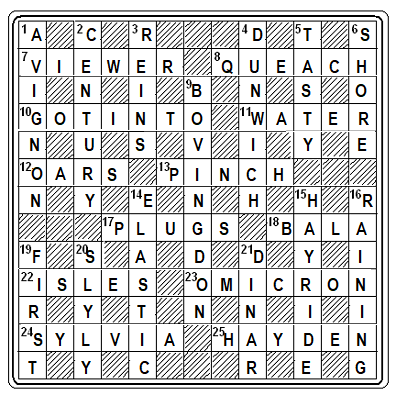 Mudguardian Crossword Solution 2023